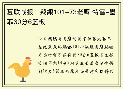 夏联战报：鹈鹕101-73老鹰 特雷-墨菲30分6篮板