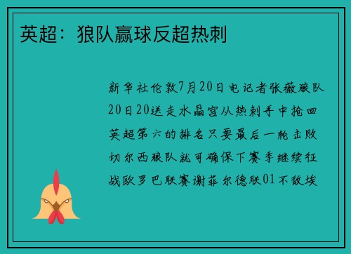 英超：狼队赢球反超热刺